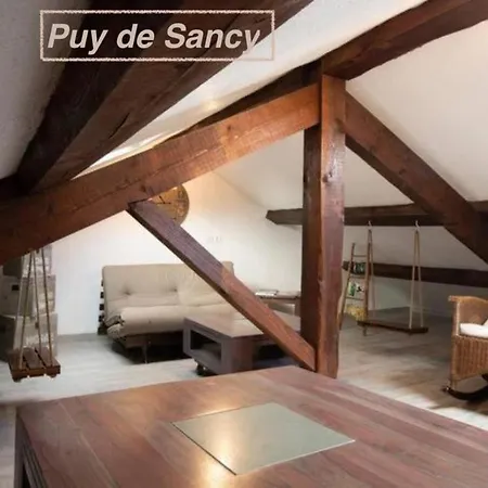 公寓 Chaine Des Puys Avec Garages Attenants 克莱蒙费朗