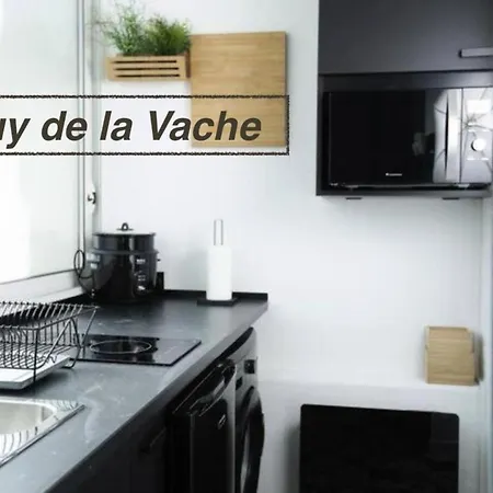 Chaine Des Puys Avec Garages Attenants Appartamento *